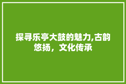 探寻乐亭大鼓的魅力,古韵悠扬，文化传承