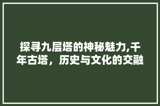 探寻九层塔的神秘魅力,千年古塔，历史与文化的交融之地  第1张