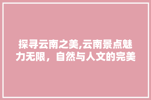 探寻云南之美,云南景点魅力无限，自然与人文的完美融合