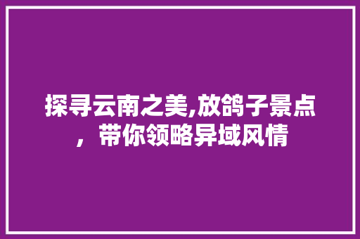 探寻云南之美,放鸽子景点，带你领略异域风情