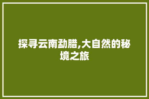 探寻云南勐腊,大自然的秘境之旅