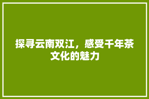 探寻云南双江，感受千年茶文化的魅力