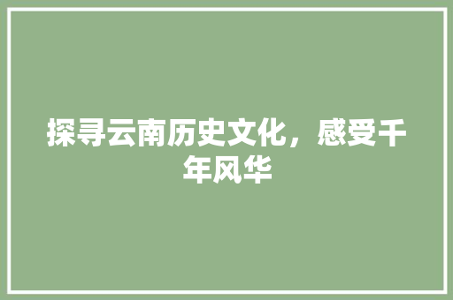 探寻云南历史文化，感受千年风华