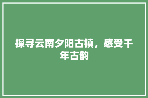 探寻云南夕阳古镇，感受千年古韵  第1张