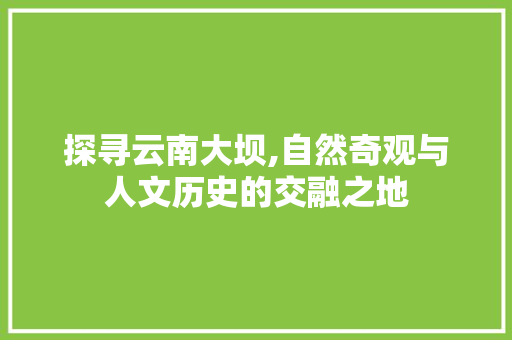 探寻云南大坝,自然奇观与人文历史的交融之地