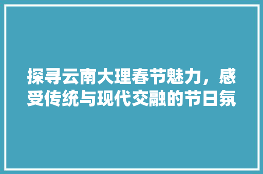 探寻云南大理春节魅力，感受传统与现代交融的节日氛围