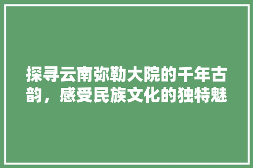 探寻云南弥勒大院的千年古韵，感受民族文化的独特魅力