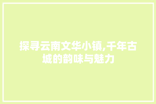 探寻云南文华小镇,千年古城的韵味与魅力