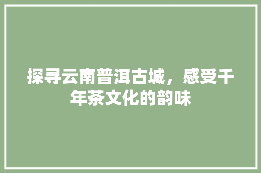 探寻云南普洱古城，感受千年茶文化的韵味