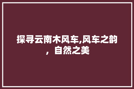 探寻云南木风车,风车之韵，自然之美