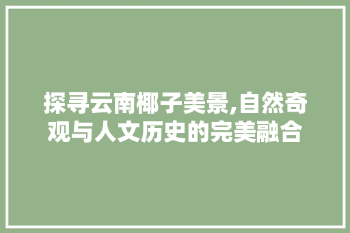 探寻云南椰子美景,自然奇观与人文历史的完美融合