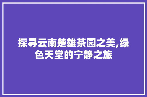 探寻云南楚雄茶园之美,绿色天堂的宁静之旅