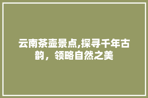 云南茶壶景点,探寻千年古韵，领略自然之美