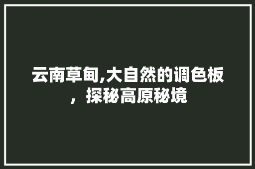 云南草甸,大自然的调色板，探秘高原秘境