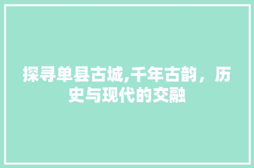 探寻单县古城,千年古韵，历史与现代的交融