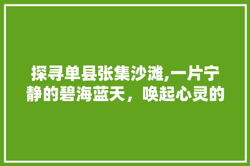 探寻单县张集沙滩,一片宁静的碧海蓝天，唤起心灵的宁静之旅