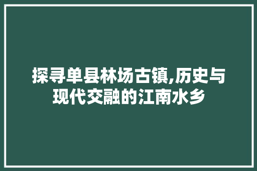 探寻单县林场古镇,历史与现代交融的江南水乡