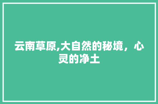 云南草原,大自然的秘境，心灵的净土  第1张