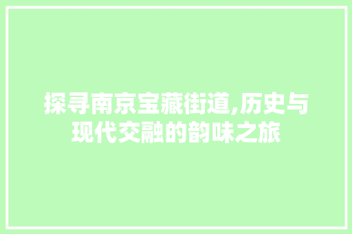 探寻南京宝藏街道,历史与现代交融的韵味之旅