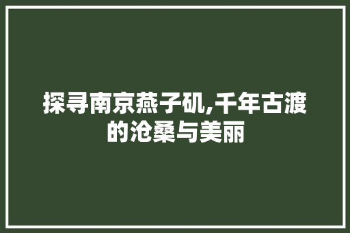 探寻南京燕子矶,千年古渡的沧桑与美丽