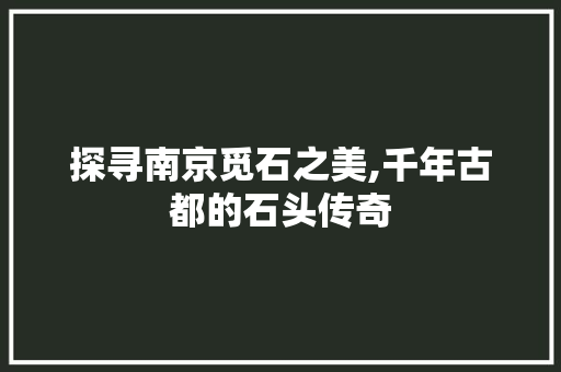 探寻南京觅石之美,千年古都的石头传奇