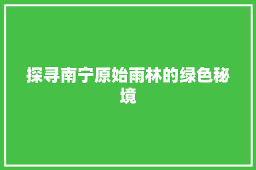 探寻南宁原始雨林的绿色秘境