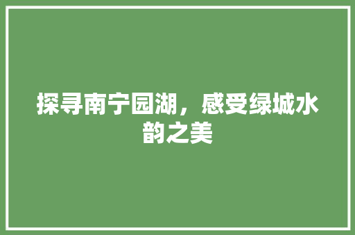 探寻南宁园湖，感受绿城水韵之美