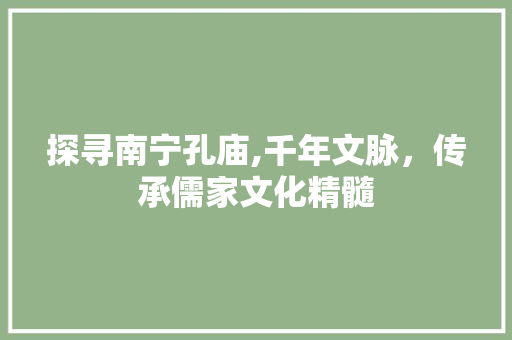 探寻南宁孔庙,千年文脉，传承儒家文化精髓