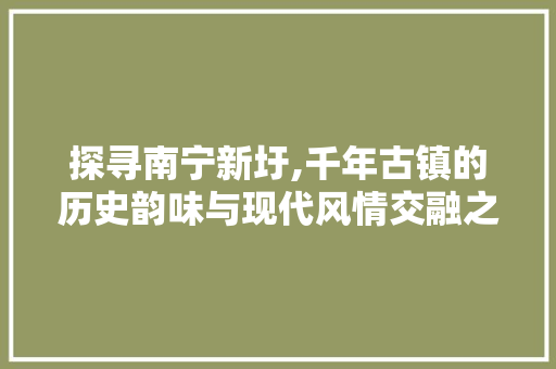 探寻南宁新圩,千年古镇的历史韵味与现代风情交融之地