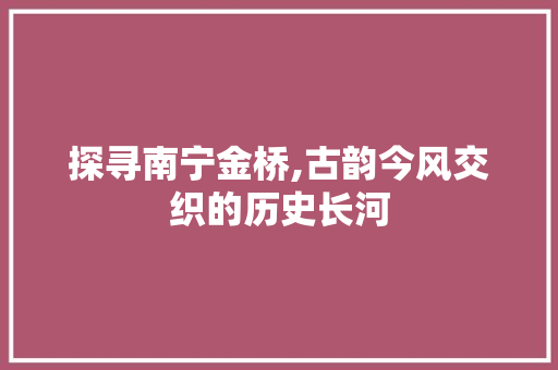 探寻南宁金桥,古韵今风交织的历史长河