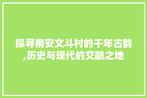 探寻南安文斗村的千年古韵,历史与现代的交融之地