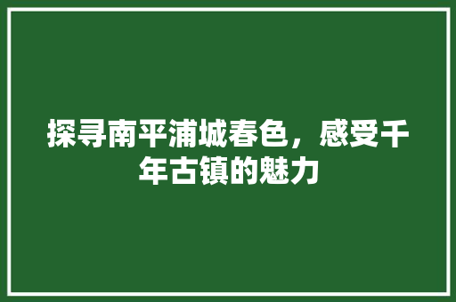 探寻南平浦城春色，感受千年古镇的魅力