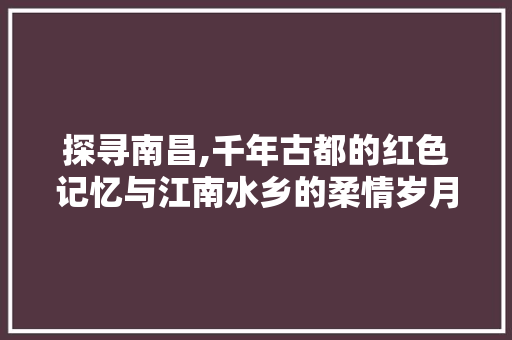 探寻南昌,千年古都的红色记忆与江南水乡的柔情岁月