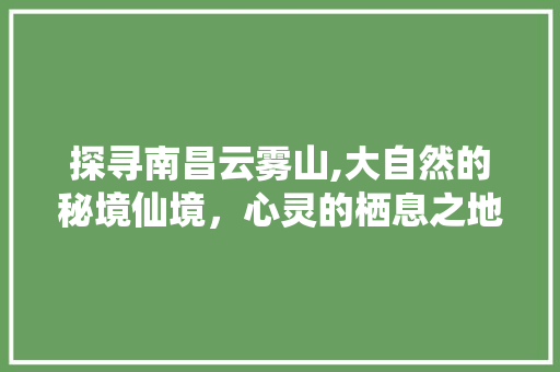 探寻南昌云雾山,大自然的秘境仙境，心灵的栖息之地