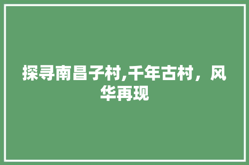 探寻南昌子村,千年古村，风华再现