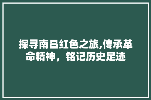 探寻南昌红色之旅,传承革命精神，铭记历史足迹