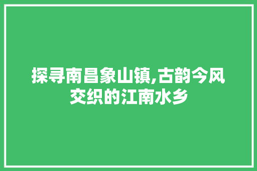 探寻南昌象山镇,古韵今风交织的江南水乡