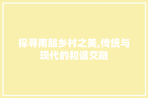 探寻南朗乡村之美,传统与现代的和谐交融