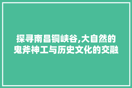 探寻南昌铜峡谷,大自然的鬼斧神工与历史文化的交融