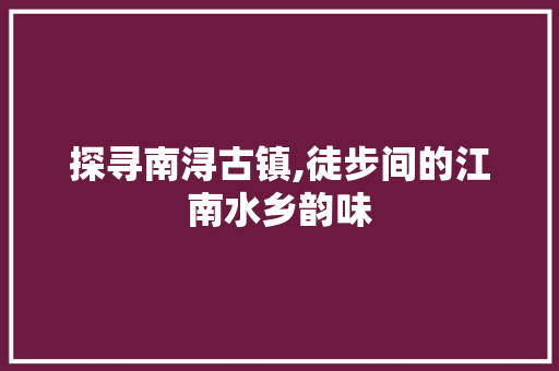 探寻南浔古镇,徒步间的江南水乡韵味