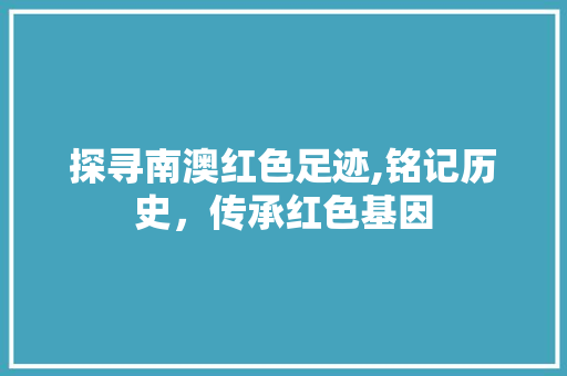 探寻南澳红色足迹,铭记历史，传承红色基因