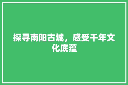 探寻南阳古城，感受千年文化底蕴