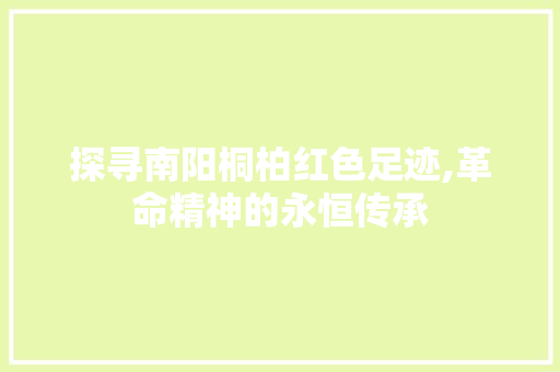 探寻南阳桐柏红色足迹,革命精神的永恒传承