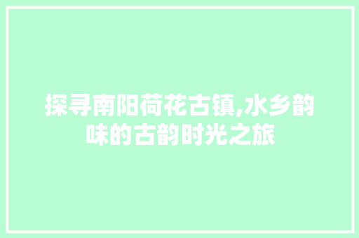 探寻南阳荷花古镇,水乡韵味的古韵时光之旅