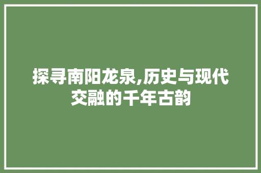 探寻南阳龙泉,历史与现代交融的千年古韵