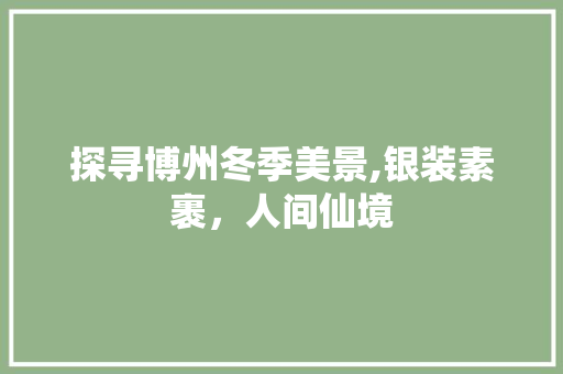 探寻博州冬季美景,银装素裹，人间仙境