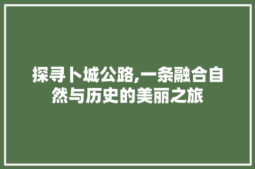 探寻卜城公路,一条融合自然与历史的美丽之旅