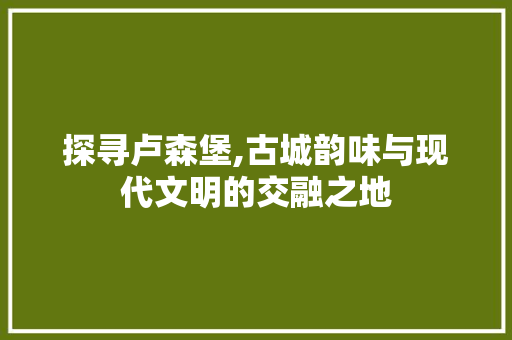 探寻卢森堡,古城韵味与现代文明的交融之地