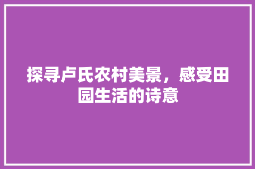 探寻卢氏农村美景，感受田园生活的诗意