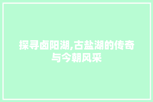 探寻卤阳湖,古盐湖的传奇与今朝风采